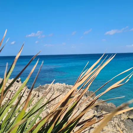 Finalmente In *